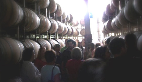 Visit the Finger Lakes Wine Region with Dionysus